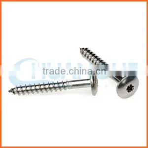 China Supplier Self Tapping Anti-theft Screw thumbnail-6