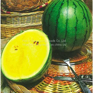 Small Phoenix f1 Hybrid Yellow Watermelon Seeds thumbnail-1