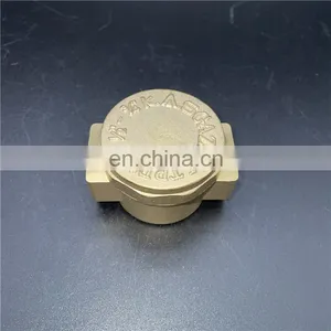 Factory Supply 1/2, 3/4 Brass Filter Fine Custom Quality Hepa Gas Filter thumbnail-1
