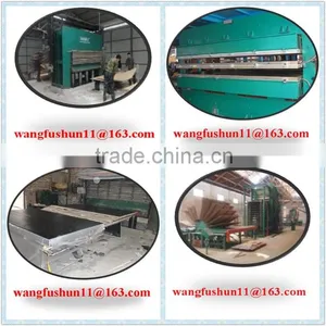 Cheap Poplar LVL Plywood for Packing Malaysia Poplar Lvl for Packing thumbnail-1