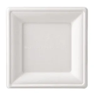 10”Hot Selling Party Restaurant Eco-Friendly Disposable Biodegradable Plates Sugarcane Bagasse Square Plates(500/ Case) thumbnail-1