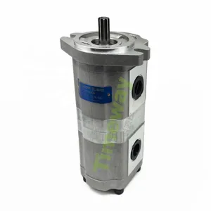 TIMEWAY CBK Series Hydraulic Double Gear Pump P221515DCG High Pressure Gear Oil Pump Customizable thumbnail-2