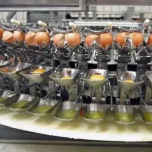 Shanghai New Egg Liquid Powder Processing Machine for Snack Meat Vegetable Flour Mill/Winery/Bakery Applications Engine Motor thumbnail-4