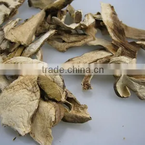 Grade AA Dried Boletus Edulis Slices Mushroom thumbnail-6