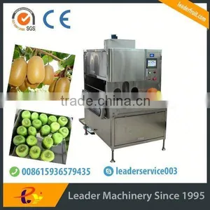 Leader Low Price Kiwi Fruit Washing and Peeler Machine thumbnail-1