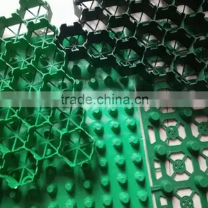 Grass Pavers thumbnail-6