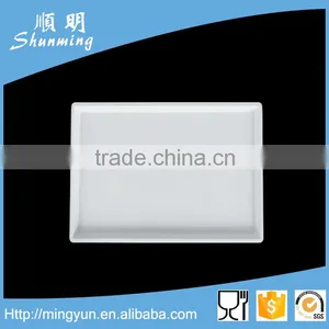Melamine Snack Tray thumbnail-1