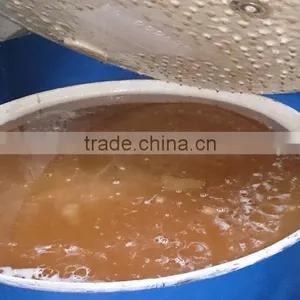 Bulk Manuka Honey thumbnail-1