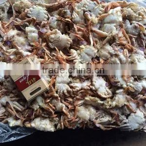 Frozen Sand Crab for Canning ( Ovalipes Punctatus) thumbnail-1