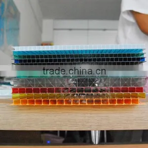 Competitive Price of Polycarbonate Multi-wall Sheet thumbnail-1