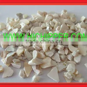 Natural Sea Shell for Decoration thumbnail-1