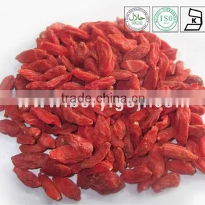Super Fruit From Hometown of Gojiberry thumbnail-1