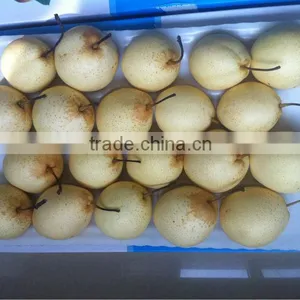 Ya Pear thumbnail-1