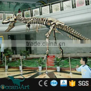 OA-DS-16051301 Replicated Dinosaur Fossils thumbnail-4