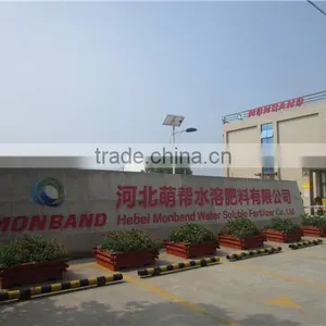 Hebei Monband Water Soluble Fertilizer Co., Ltd. company overview - view 2 thumbnail