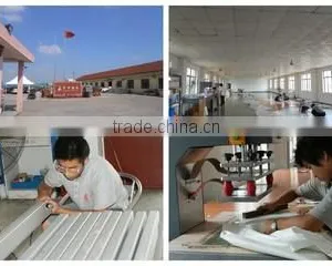 All Events Tent Service (Shanghai) Co., Ltd. company overview - view 1 thumbnail