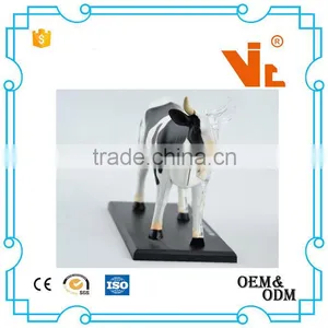 V-AM048 4D MASTER Cow Specimen Anatomical Model thumbnail-2