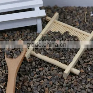 High Quality Raw Buckwheat Price thumbnail-5