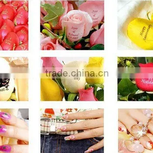Hot Sale Perfect Functions and Highest Technology Style Flower Printer thumbnail-1