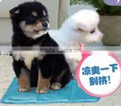 Pets Cool Mats thumbnail-4
