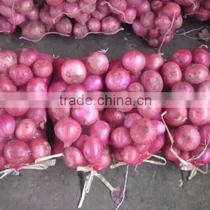 Fresh Organic Red Onion for Sale thumbnail-1