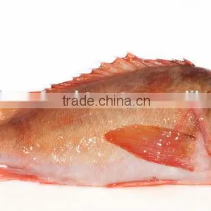 RedFish Whole Round thumbnail-1