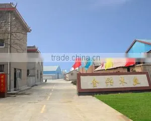 Linyi Jinxing Plywood Factory company overview - view 2 thumbnail