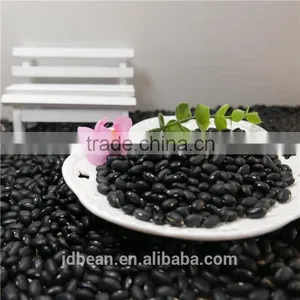 Small Black Kidney Bean /black Bean Price thumbnail-6