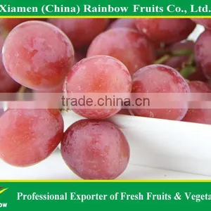 Fresh Chinese Table Grape Red Globe Grape Red Grape to India Asia Market thumbnail-4