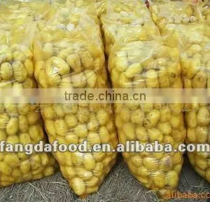 Chinese New Holland Potato/potao Seller in China thumbnail-1