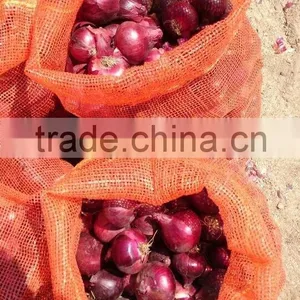 Get New Crop Of Onions thumbnail-1