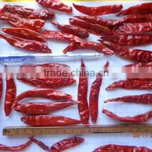 Dried Chilli thumbnail-5