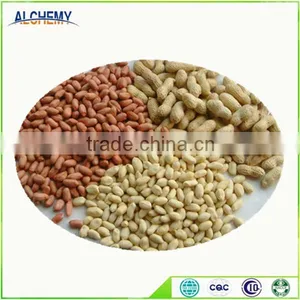 Chinese Peanuts Kernel for Hot Sale and With Free Sample for You thumbnail-2