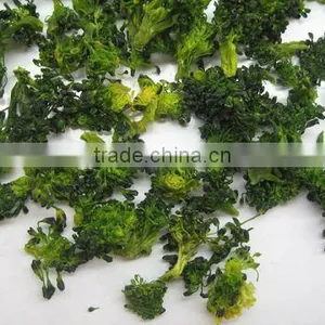 Dried Broccoli Powder thumbnail-1