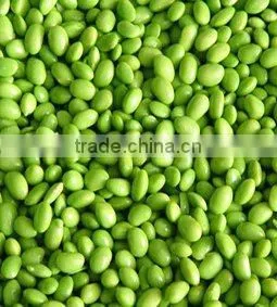 DPL-300 CE Qualified Bean Sheller Peeler Peeling Machine thumbnail-5