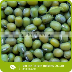 Sprouting Quality Green Mung Beans thumbnail-2