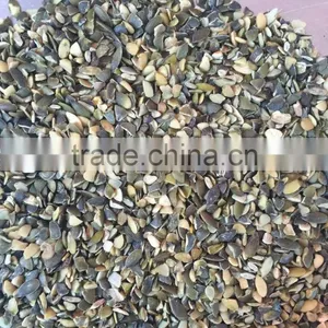 Broken Pumpkin Seeds Price GWS Oil Grade thumbnail-1