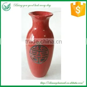 Sprial or Straight Lucky Bamboo Ceramic Flower Pot thumbnail-2