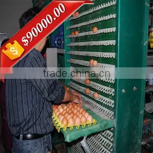 Egg Belt Imported From Italy Automatic Egg Collection thumbnail-1