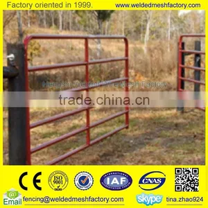 Modern Steel Gates and Fences thumbnail-4