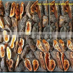 TPV-50F Silicon Oil Heating Lyophilizer Equipment For Food Fruit (0.7 Square Meter,drying Curve Display) thumbnail-2