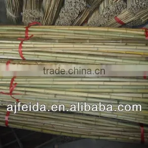 FD07-natural Eco-friendly Bamboo Poles/cane thumbnail-1