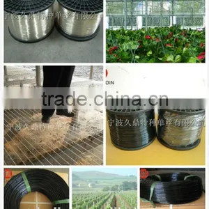 Vineyard Trellis Monofilament Wire thumbnail-1