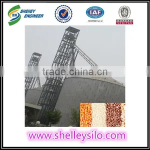 High Quality Steel Painting Bucket Elevators thumbnail-6