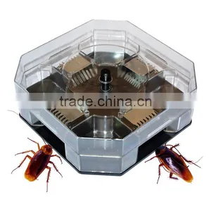 Cockroach Trap thumbnail-1