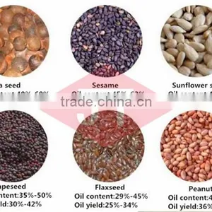 Good Using Effect Sunflower Seed Camellia Seeds Sheller With Competitive Price thumbnail-3