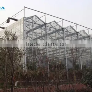 Arc Multi-span Glass Greenhouse for Strawberry thumbnail-2