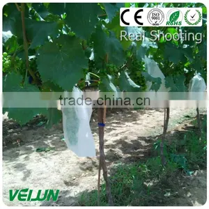 Non-woven Weed Controler thumbnail-2