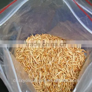 High Protein Dried Mealworms Wild Bird Food(freeze Dry) thumbnail-2