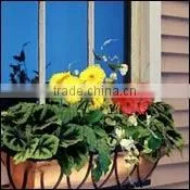 Iron Flower Window Box (LMW_12P08) thumbnail-1